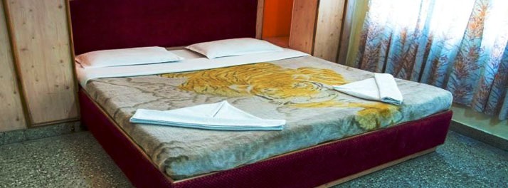 1556/Hotel Abhishek - Mysuru 07.jpg